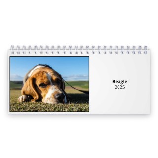 Beagle 2025 Desk Calendar