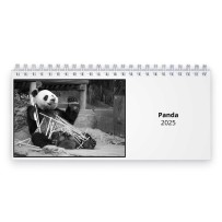 Panda 2025 Desk Calendar