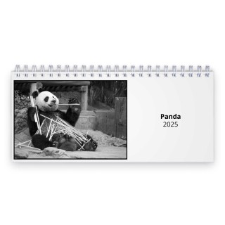 Panda 2025 Desk Calendar