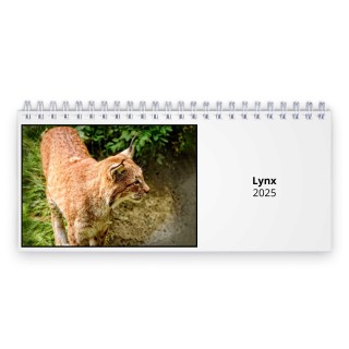 Lynx 2025 Desk Calendar
