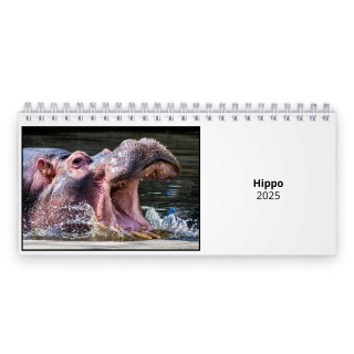 Hippo 2025 Desk Calendar