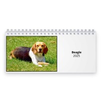 Beagle 2025 Desk Calendar