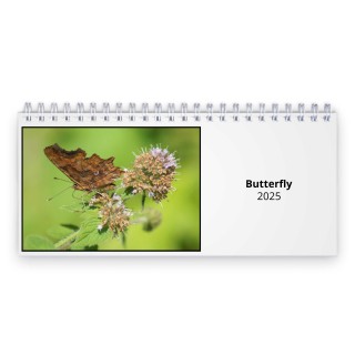 Butterfly 2025 Desk Calendar
