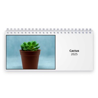 Cactus 2025 Desk Calendar