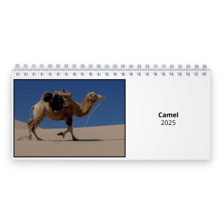 Camel 2025 Desk Calendar