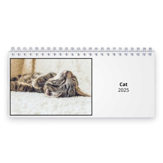 Cat 2025 Desk Calendar