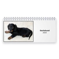 Dachshund 2025 Desk Calendar