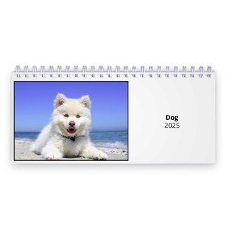 Dog 2025 Desk Calendar