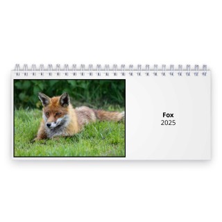 Fox 2025 Desk Calendar