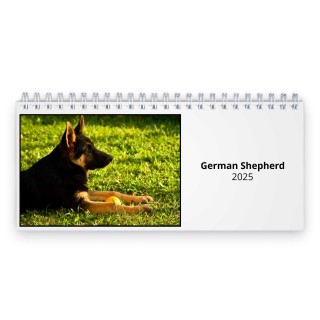 German Shepherd 2025 Desk Calendar