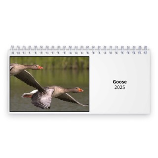 Goose 2025 Desk Calendar