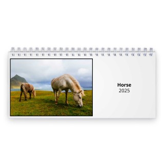 Horse 2025 Desk Calendar