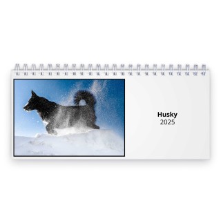 Husky 2025 Desk Calendar