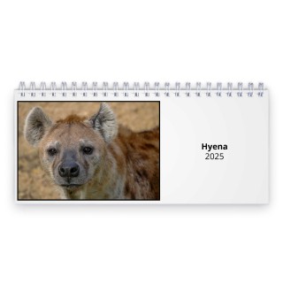 Hyena 2025 Desk Calendar