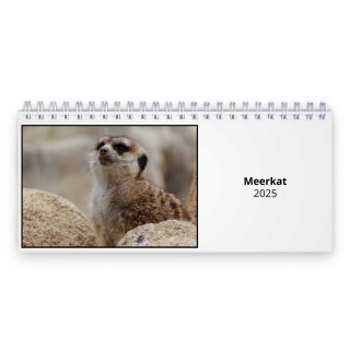 Meerkat 2025 Desk Calendar