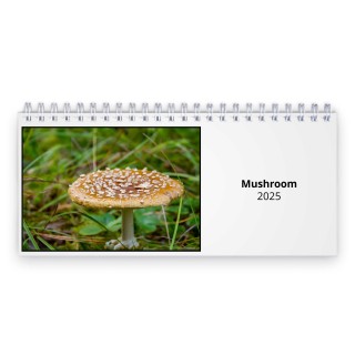 Mushroom 2025 Desk Calendar