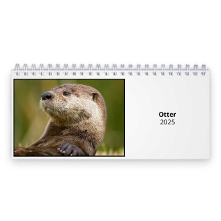 Otter 2025 Desk Calendar