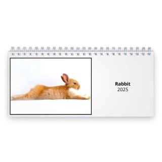 Rabbit 2025 Desk Calendar