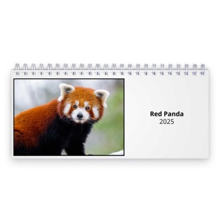 Red Panda 2025 Desk Calendar