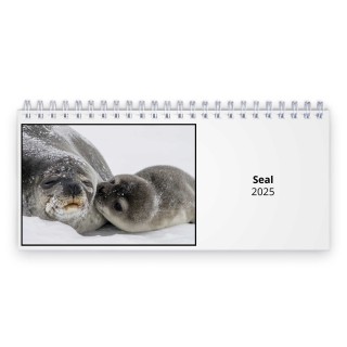 Seal 2025 Desk Calendar