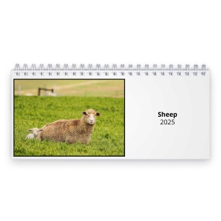 Sheep 2025 Desk Calendar