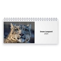 Leopardo Delle Nevi 2025 Calendario da Tavolo