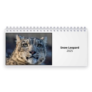 Snow Leopard 2025 Desk Calendar