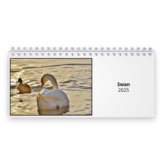 Swan 2025 Desk Calendar