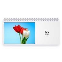 Tulpe 2025 Tischkalender