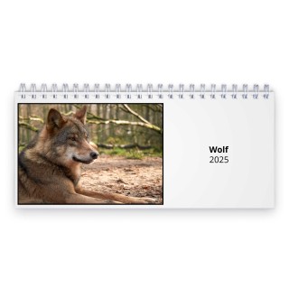 Wolf 2025 Desk Calendar