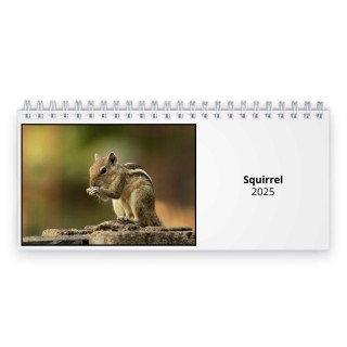 Squirrel 2025 Desk Calendar