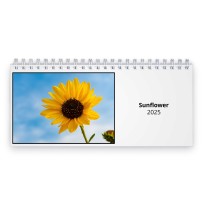 Sonnenblume 2025 Tischkalender