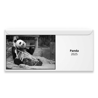 Panda 2025 Magnetic Calendar