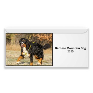 Bernese Mountain Dog 2025 Magnetic Calendar