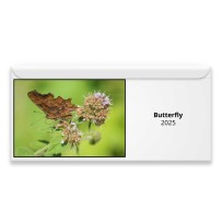 Butterfly 2025 Magnetic Calendar