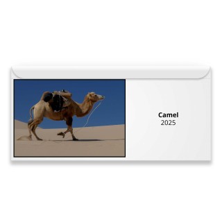 Camel 2025 Magnetic Calendar