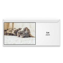 Cat 2025 Magnetic Calendar