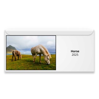 Horse 2025 Magnetic Calendar