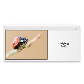 Ladybug 2025 Magnetic Calendar