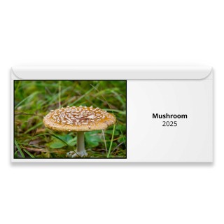 Mushroom 2025 Magnetic Calendar