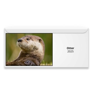 Otter 2025 Magnetic Calendar