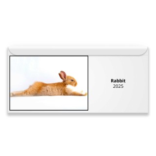 Rabbit 2025 Magnetic Calendar