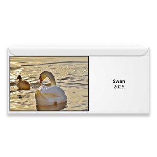 Swan 2025 Magnetic Calendar
