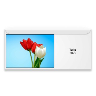 Tulip 2025 Magnetic Calendar