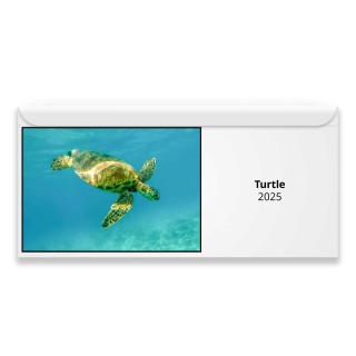 Turtle 2025 Magnetic Calendar