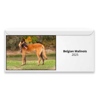 Belgian Malinois 2025 Magnetic Calendar