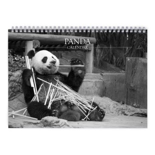 Panda 2025 Wall Calendar