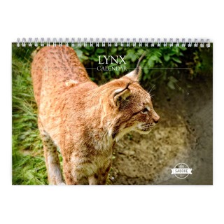 Lynx 2025 Wall Calendar
