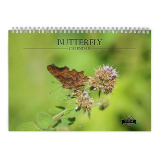 Butterfly 2025 Wall Calendar