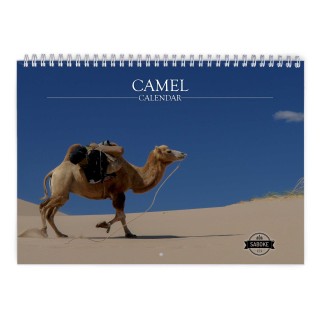 Camel 2025 Wall Calendar